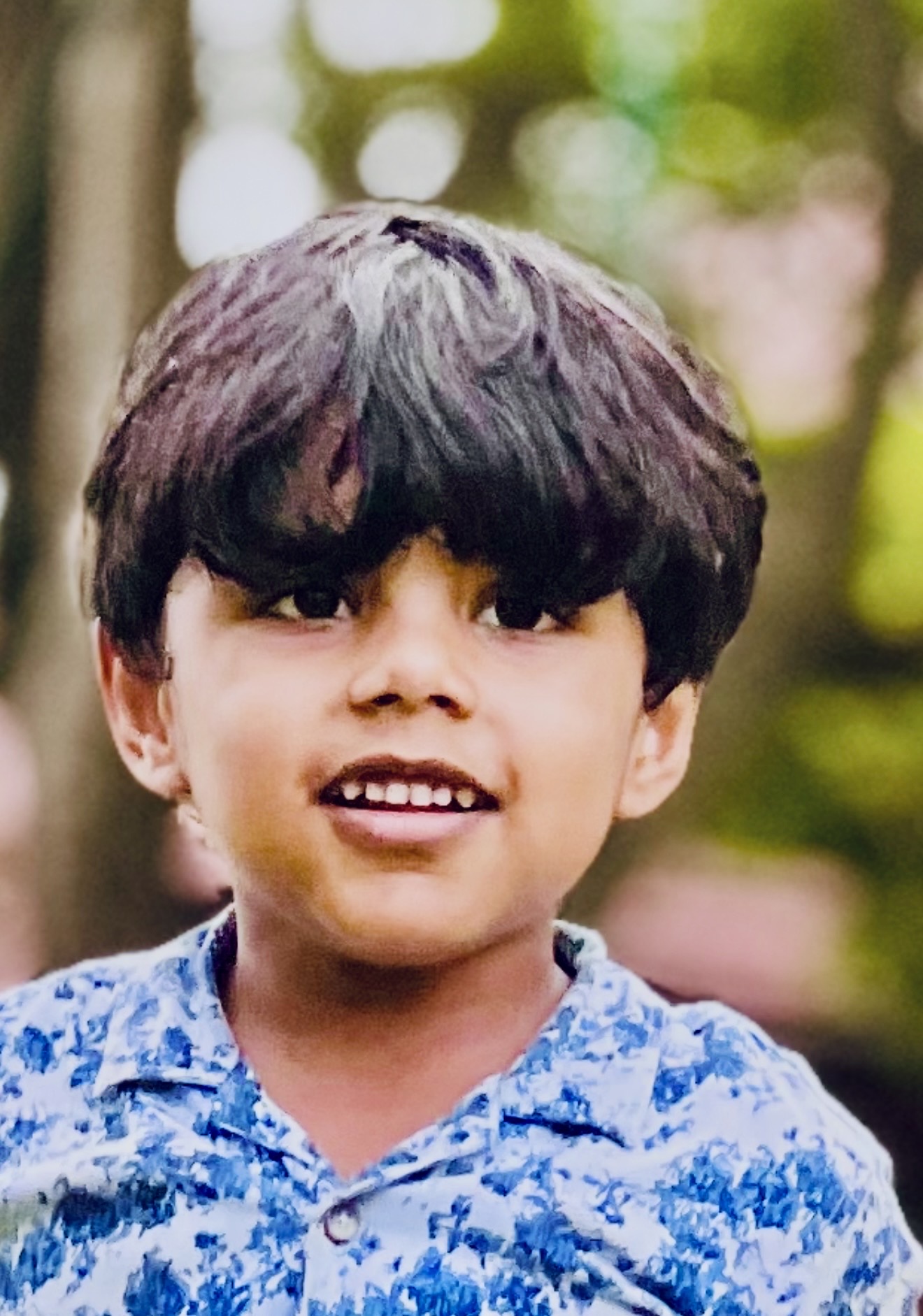 Neerav s palliyalil